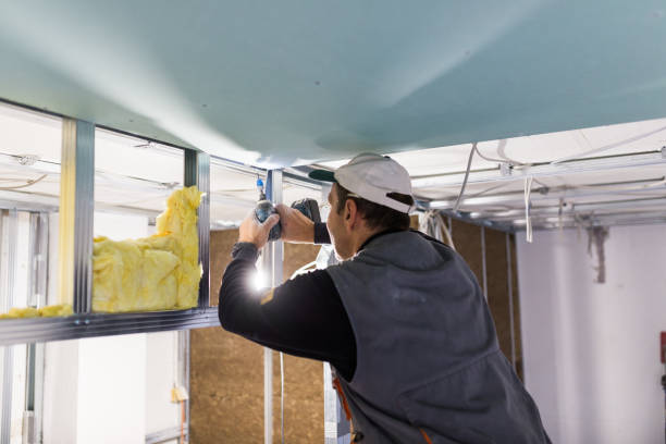 Best Fiberglass Insulation in Atkins, IA
