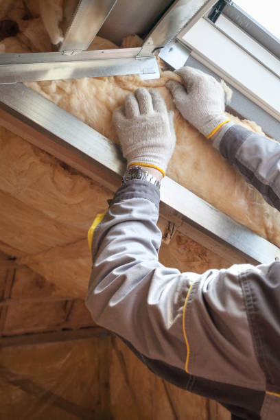 Best Residential Insulation in Atkins, IA
