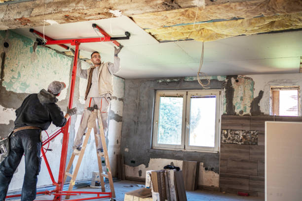 Best Eco-Friendly Insulation in Atkins, IA