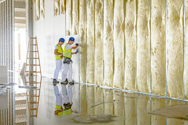 Trusted Atkins, IA Insulation Contractor Experts